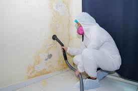 Why You Should Choose Our Mold Remediation Services in Chardon, OH